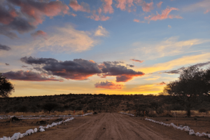 Un atardecer lleno de matices amarillos, rosas y celestes con nubes arriba de nuestros terrenos en venta en Aguascalientes.