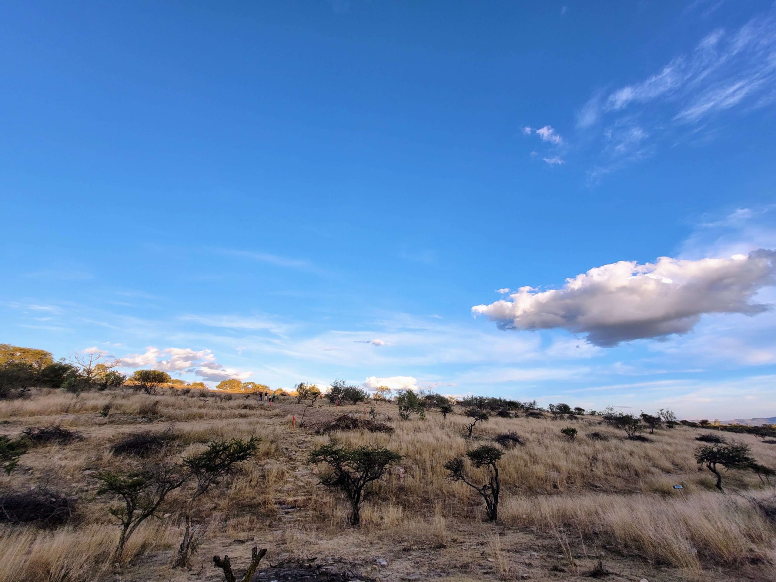 Imagen del desarrollo Campestre con terrenos campestres en venta en Aguascalientes.