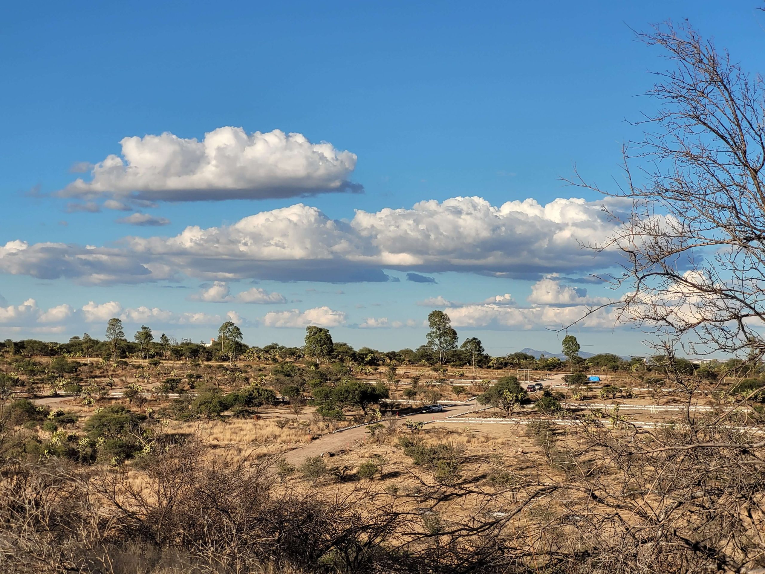 Imagen del desarrollo Campestre con terrenos campestres en venta en Aguascalientes.