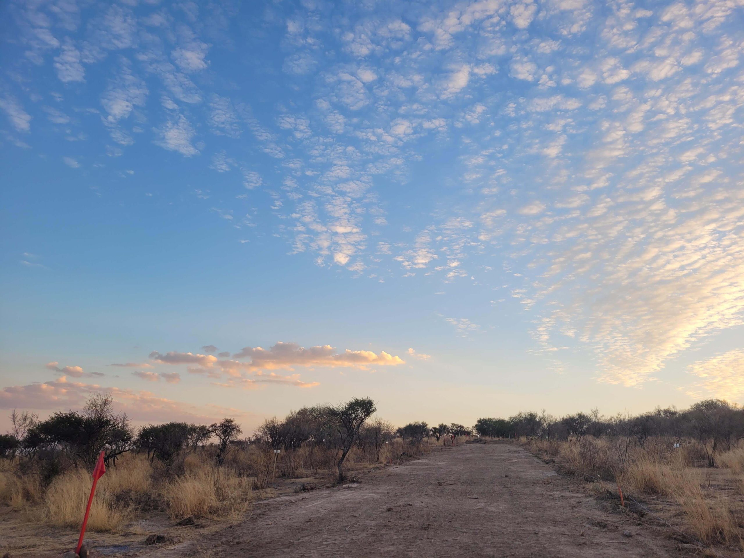 Imagen del desarrollo Campestre con terrenos campestres en venta en Aguascalientes.