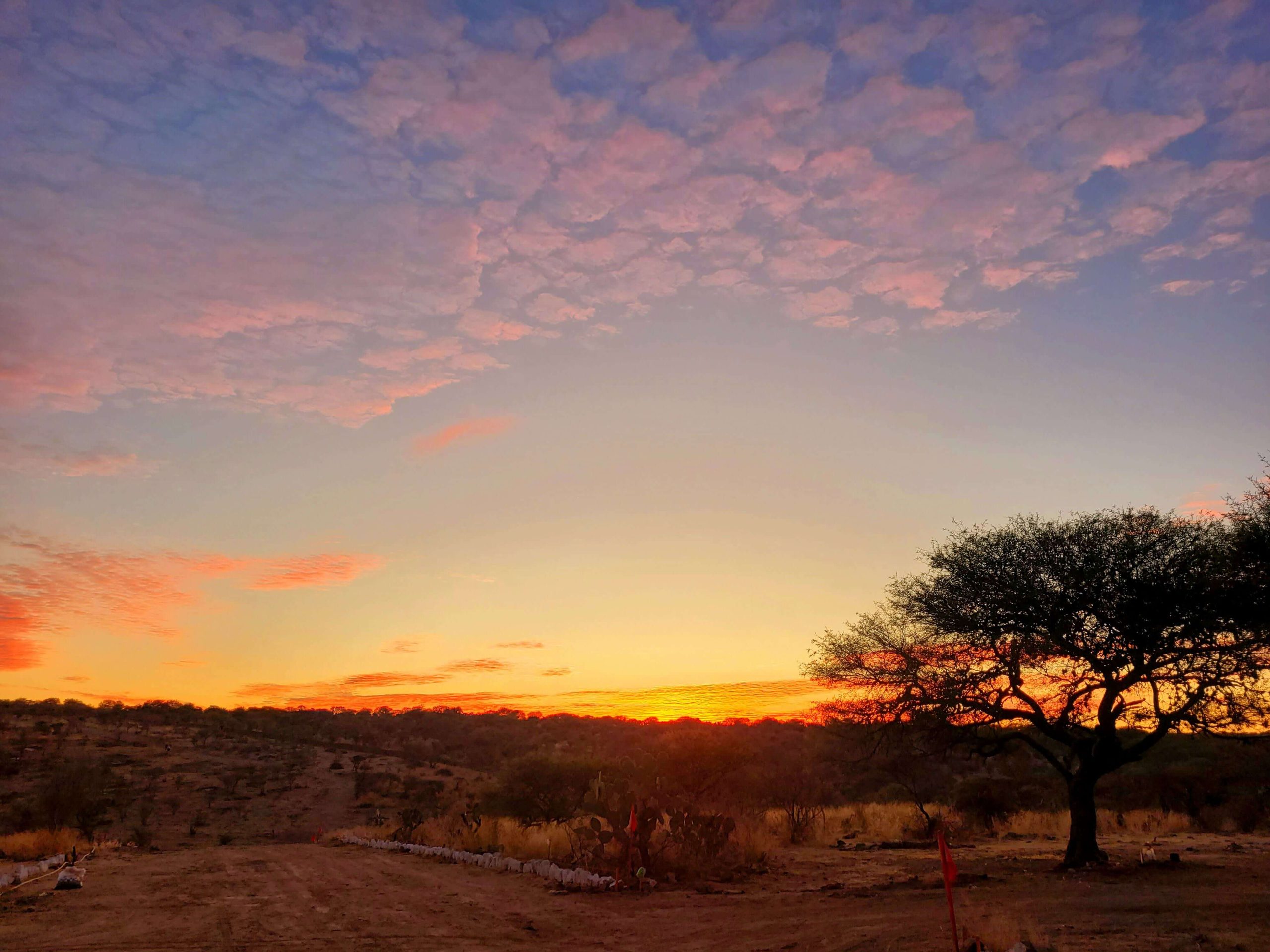 Imagen del desarrollo Campestre con terrenos campestres en venta en Aguascalientes.