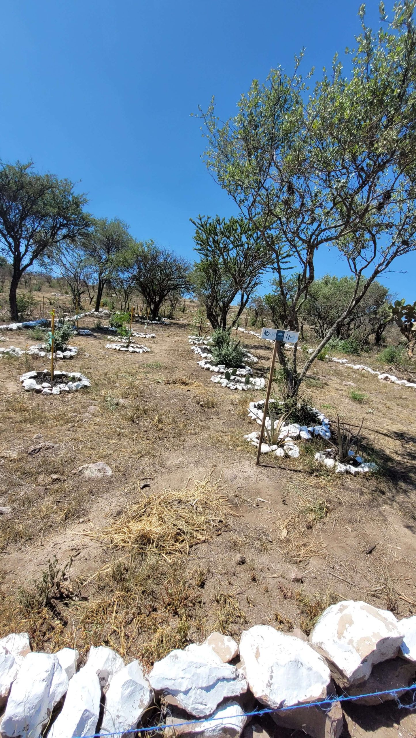 Imagen del desarrollo Campestre con terrenos campestres en venta en Aguascalientes.