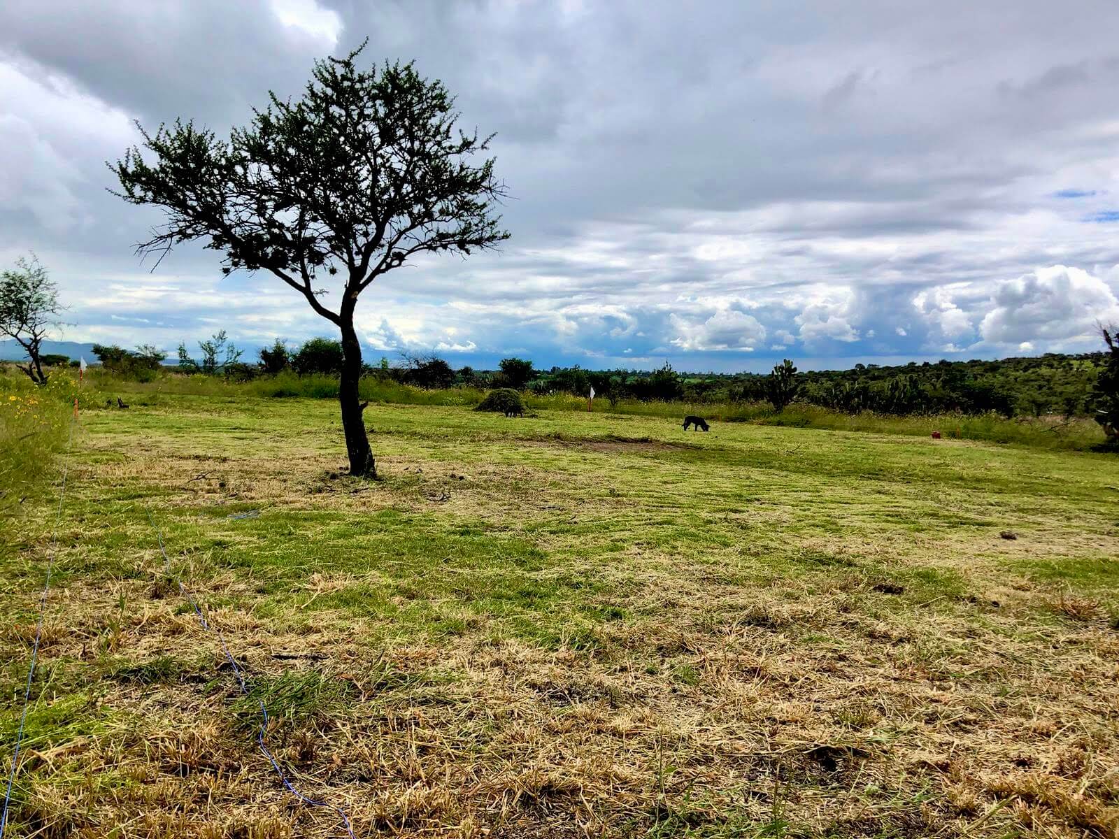Imagen del desarrollo Campestre con terrenos campestres en venta en Aguascalientes.