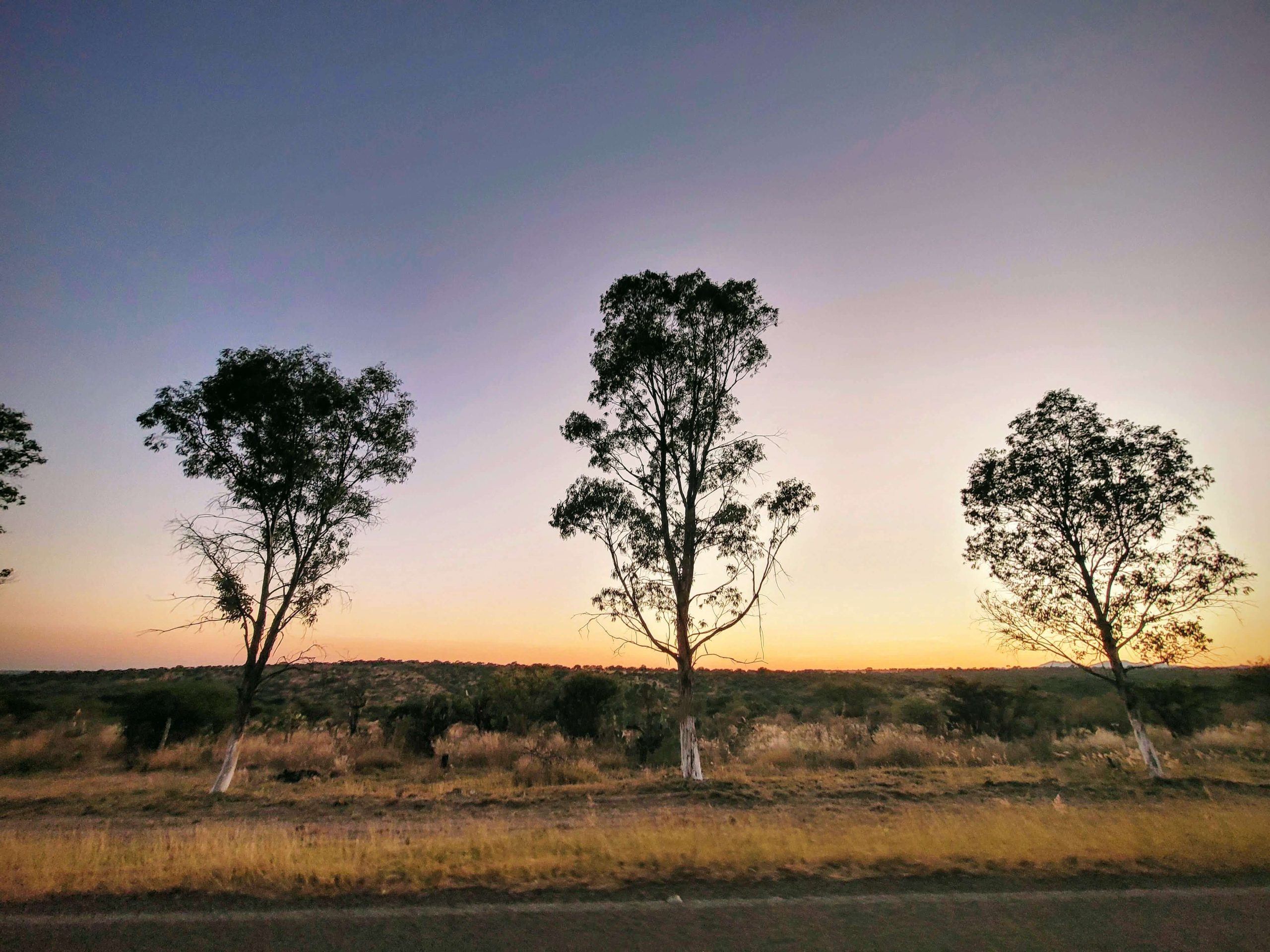 Imagen del desarrollo Campestre con terrenos campestres en venta en Aguascalientes.