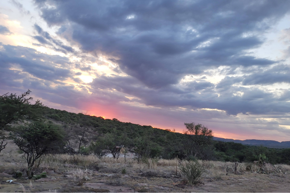 Imagen del desarrollo Campestre con terrenos campestres en venta en Aguascalientes.