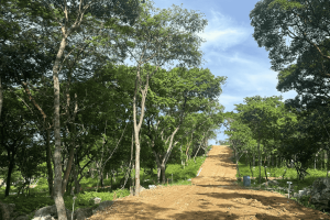 Lotes rústicos escriturables en Colinas del Campestre al sur poniente de Tuxtla