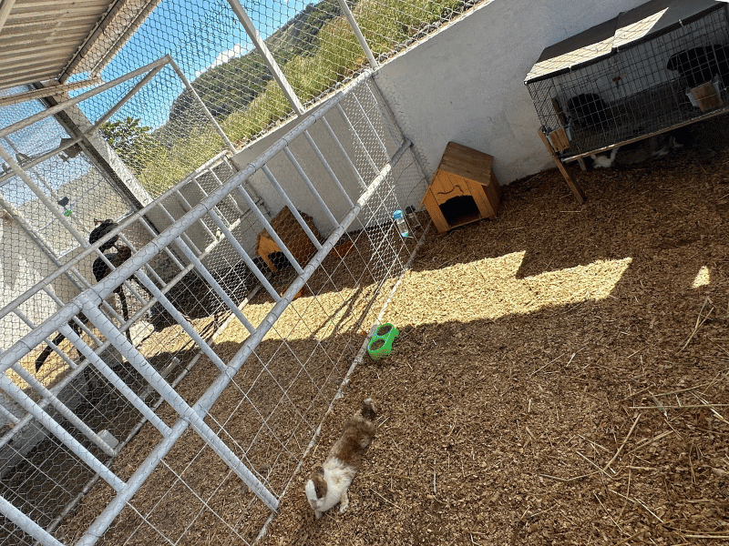Mini granja La Sima Park